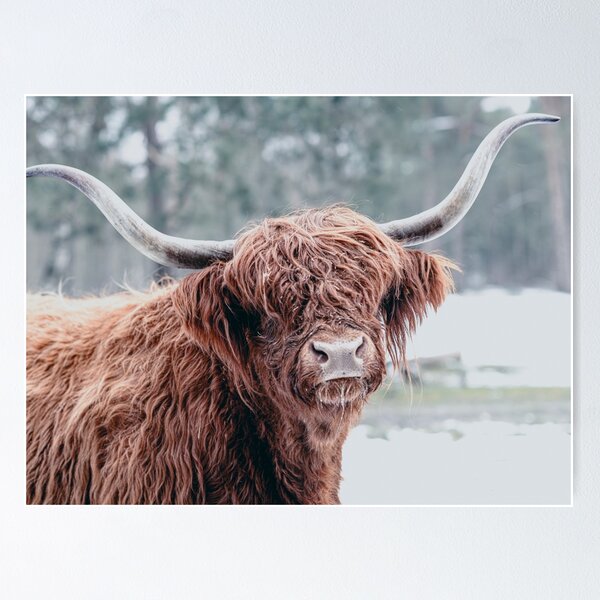 Item preview, A Highland Hello designed and sold by The Art Framing Company.