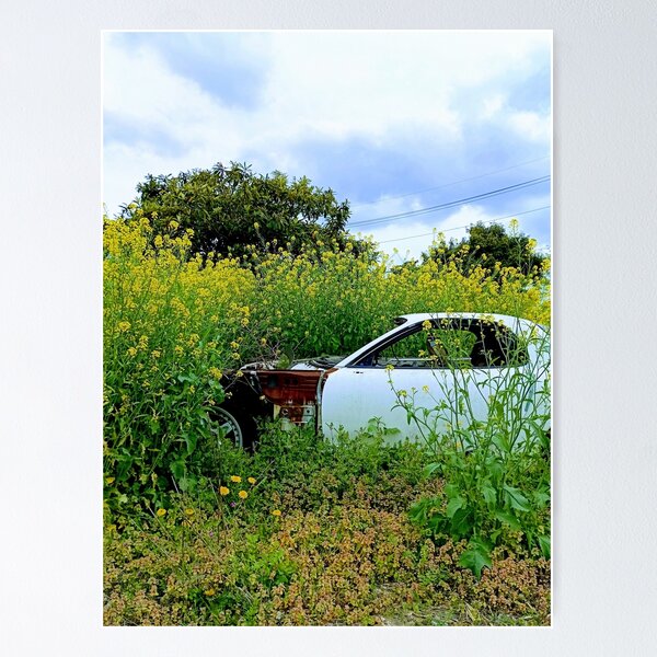 Item preview, Abandoned Vintage Car with Yellow Flowers designed and sold by studio-koichiro.