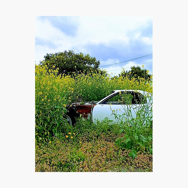 Item preview, Abandoned Vintage Car with Yellow Flowers designed and sold by studio-koichiro.
