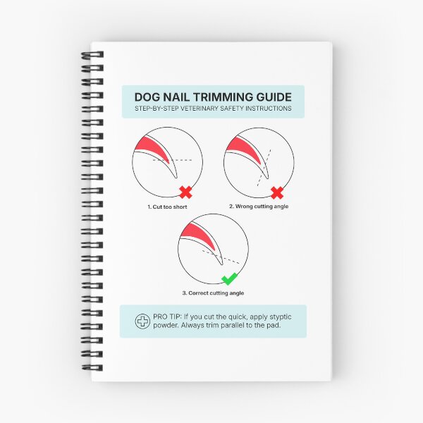 Item preview, Dog Nail Trimming Guide - Veterinary Safety Poster designed and sold by Flametric.