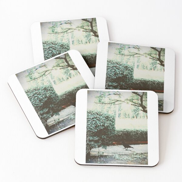 Item preview, Gothic Crow Walking on Park Path Street Photography designed and sold by studio-koichiro.
