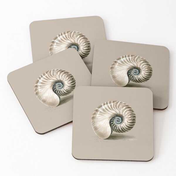 Item preview, Vintage Nautilus Shell – Naturalist Ocean Illustration designed and sold by FrostyFrisby.