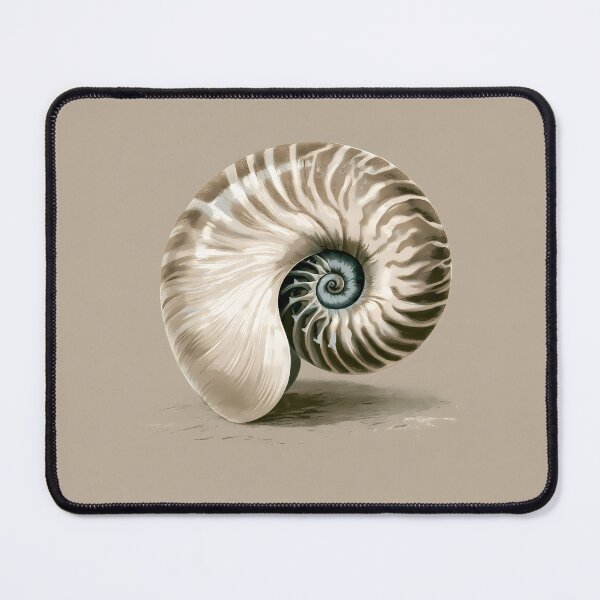 Item preview, Vintage Nautilus Shell – Naturalist Ocean Illustration designed and sold by FrostyFrisby.