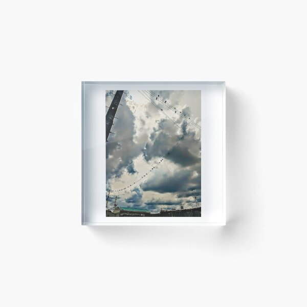 Item preview, Cinematic Swallows on Telephone Pole Cloudy Sky Photo designed and sold by studio-koichiro.