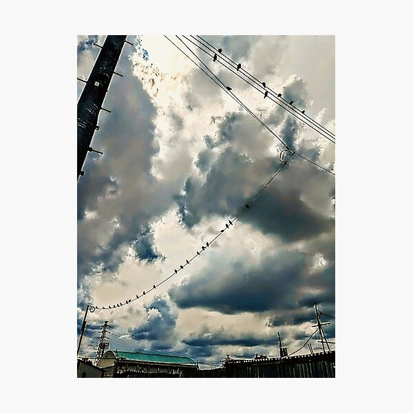 Item preview, Cinematic Swallows on Telephone Pole Cloudy Sky Photo designed and sold by studio-koichiro.