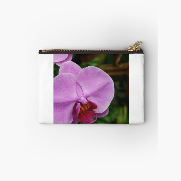 Item preview, Let Beauty Surprise You designed and sold by TheOldestTrees.