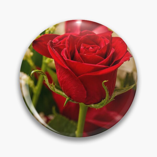 Item preview, Special Rose designed and sold by Encouraging24.
