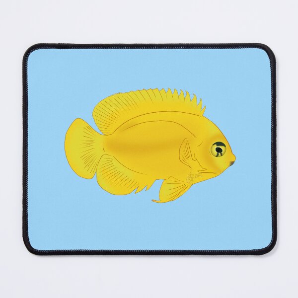 Item preview, Yellow Dwarf Angelfish designed and sold by Copperbora.
