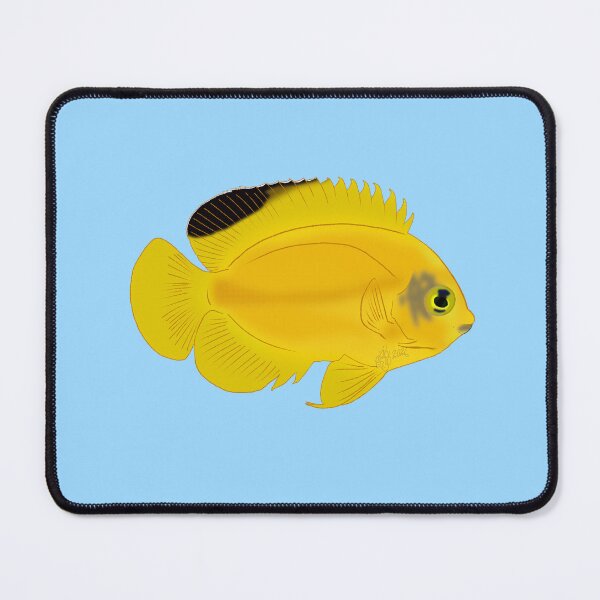 Item preview, Woodhead's Dwarf Angelfish designed and sold by Copperbora.