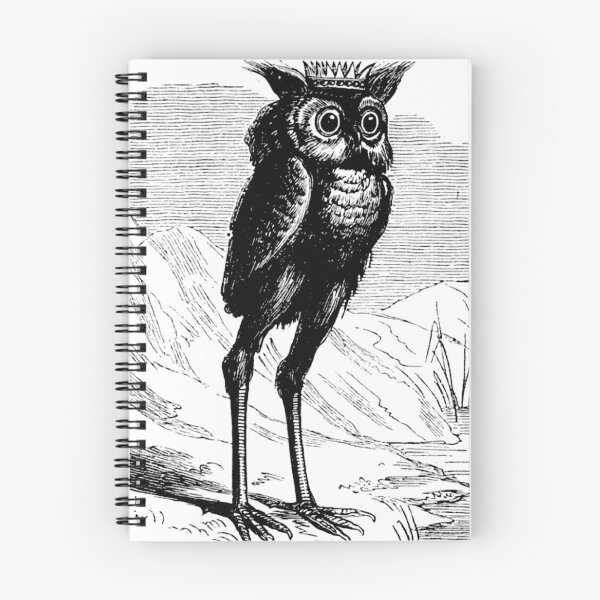 Item preview, Stolas Goetia Demon Owl T-Shirt: Esoteric Occult Pagan Witchcraft Apparel designed and sold by Reign Of Darkness.