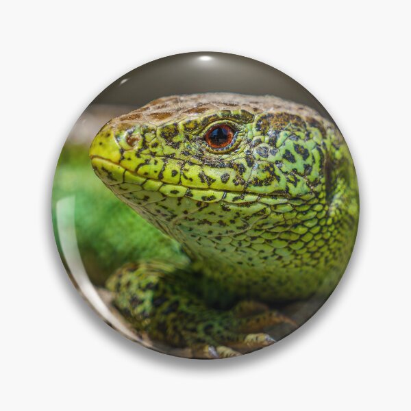 Item preview, Green Sand Lizard Macro Portrait designed and sold by FotoBastek.