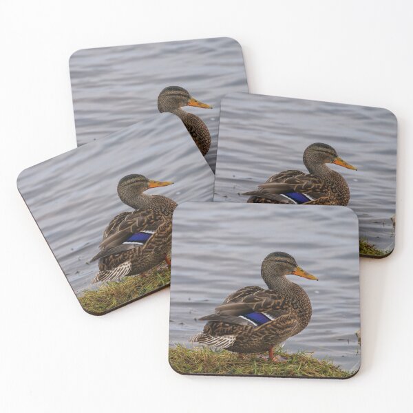 Item preview, Mallard Hen With Vibrant Purple Wing Patches designed and sold by FotoBastek.