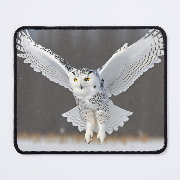 Item preview, Snowy Owl in Flight - Bird Art designed and sold by CrippiCrippi.