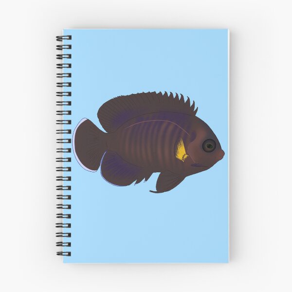Item preview, Yellowfin Dwarf Angelfish designed and sold by Copperbora.