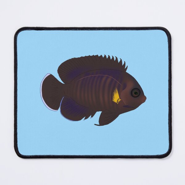Item preview, Yellowfin Dwarf Angelfish designed and sold by Copperbora.