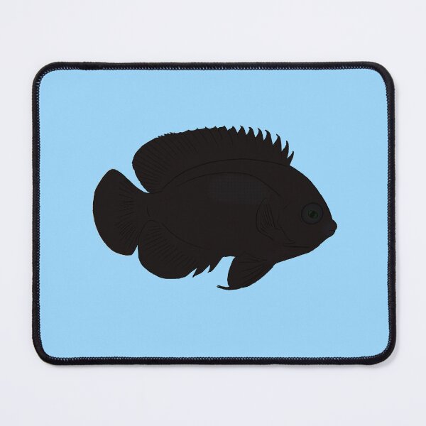 Item preview, Black Nox Dwarf Angelfish designed and sold by Copperbora.