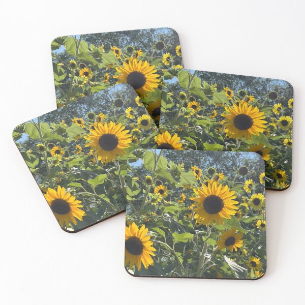 Item preview, August Sunflowers ABQ NM  designed and sold by Donlan-2211.