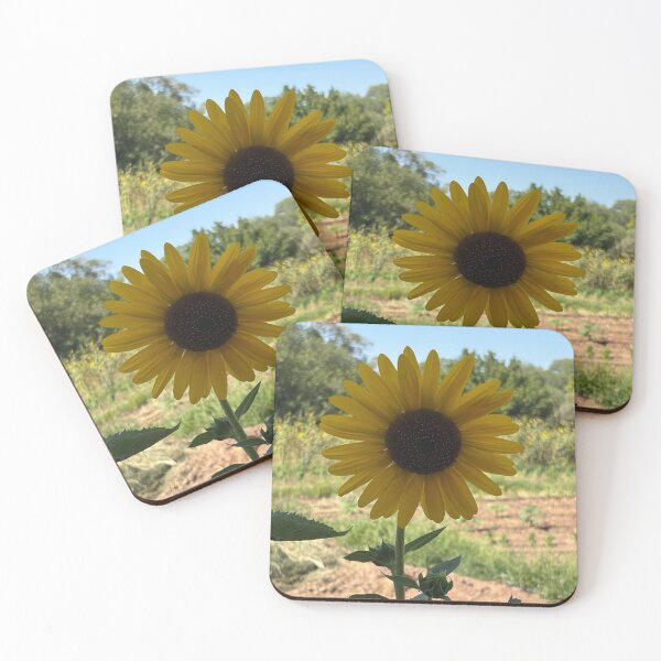 Item preview, August Sunflower ABQ NM  designed and sold by Donlan-2211.