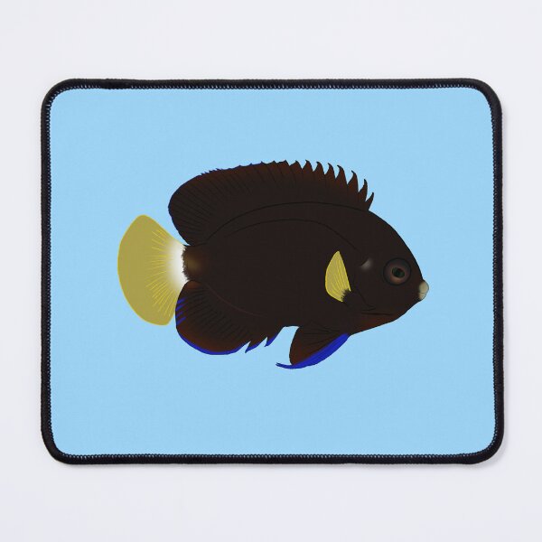 Item preview, Pygmy Yellowtail Angelfish designed and sold by Copperbora.