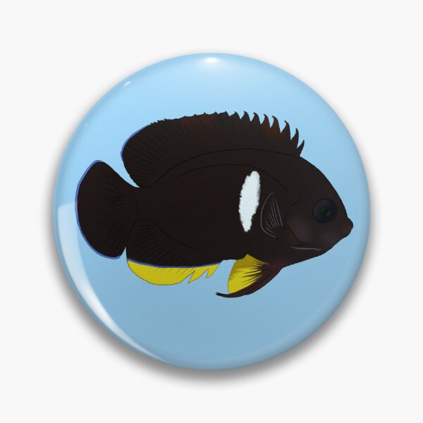 Item preview, Tibicen Dwarf Angelfish designed and sold by Copperbora.