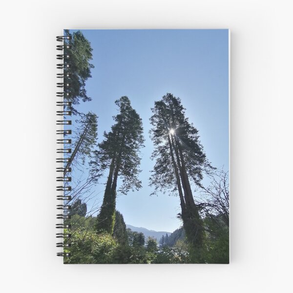 Item preview, Bowen Island Trees in the Summer designed and sold by Melissa Graf.