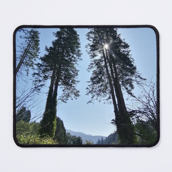 Item preview, Bowen Island Trees in the Summer designed and sold by Melissa Graf.