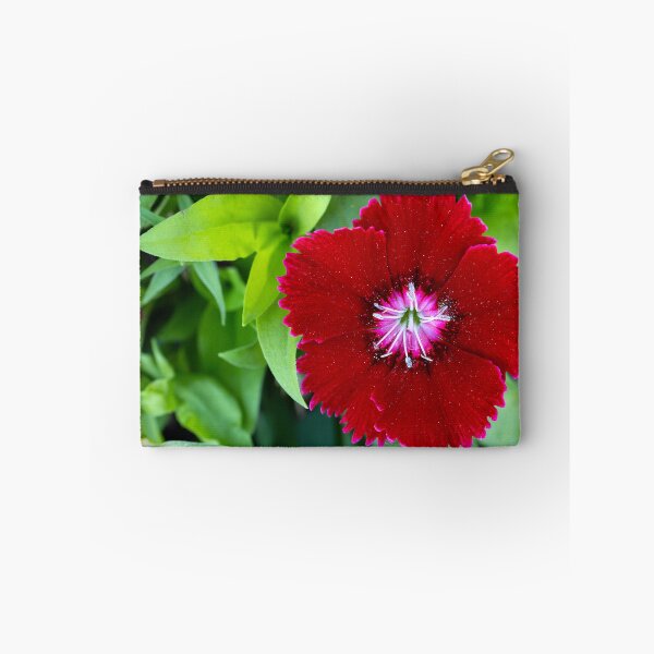 Item preview, Close up of red Dianthus bloom designed and sold by lisavonbiela.