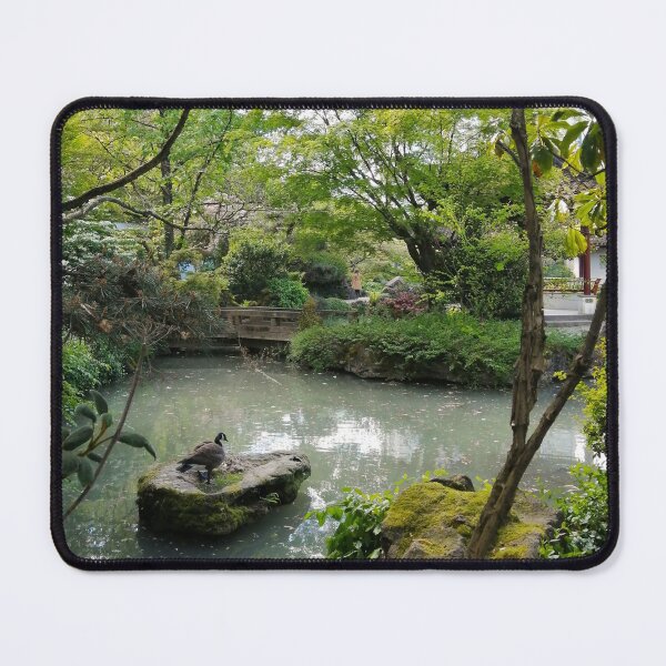 Item preview, Canadian Goose Nesting in Vancouver's Dr. Sun Yat-Sen Classical Chinese Garden designed and sold by Melissa Graf.