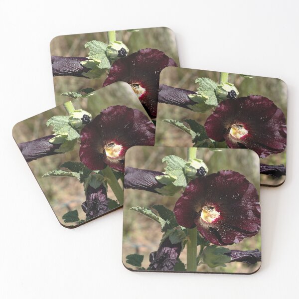 Item preview, Close up of black Hollyhock with bee in center designed and sold by lisavonbiela.