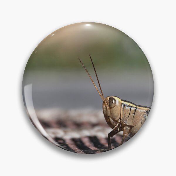 Item preview, Close up of grasshopper on outdoor carpet designed and sold by lisavonbiela.