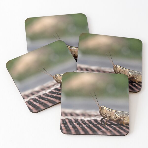 Item preview, Close up of grasshopper on outdoor carpet designed and sold by lisavonbiela.