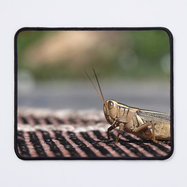 Item preview, Close up of grasshopper on outdoor carpet designed and sold by lisavonbiela.