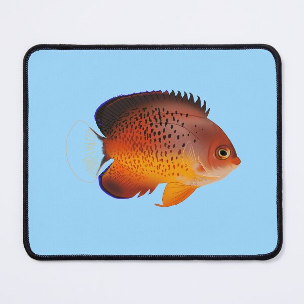Item preview, Rusty Dwarf Angelfish designed and sold by Copperbora.