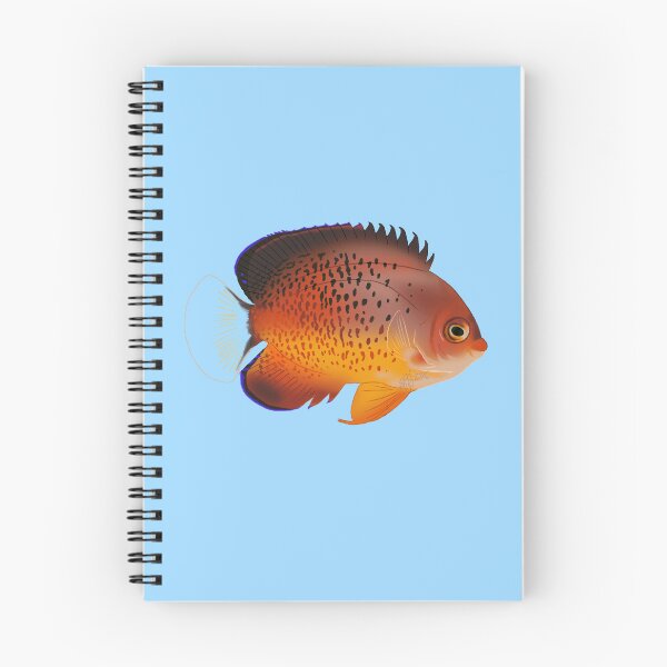 Item preview, Rusty Dwarf Angelfish designed and sold by Copperbora.