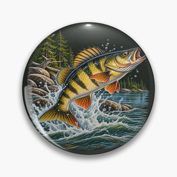Artikelvorschau, Gelbbarsch – Vintage-Angelillustration – Nordamerikanischer Süßwasserfisch entworfen und verkauft von Northbound Trail.