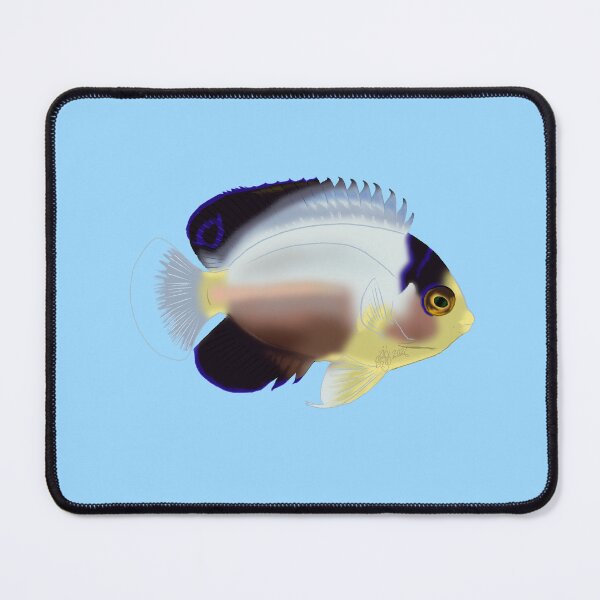 Item preview, Pearlback Dwarf Angelfish designed and sold by Copperbora.