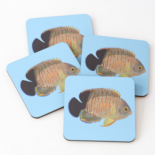 Item preview, Eibli Dwarf Angelfish designed and sold by Copperbora.