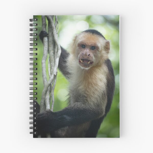 Item preview, Capuchin Monkey Portrait – Wildlife Photography Primate Jungle Animal Wall Art designed and sold by WildFrameNature.