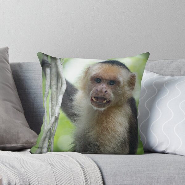 Item preview, Capuchin Monkey Portrait – Wildlife Photography Primate Jungle Animal Wall Art designed and sold by WildFrameNature.