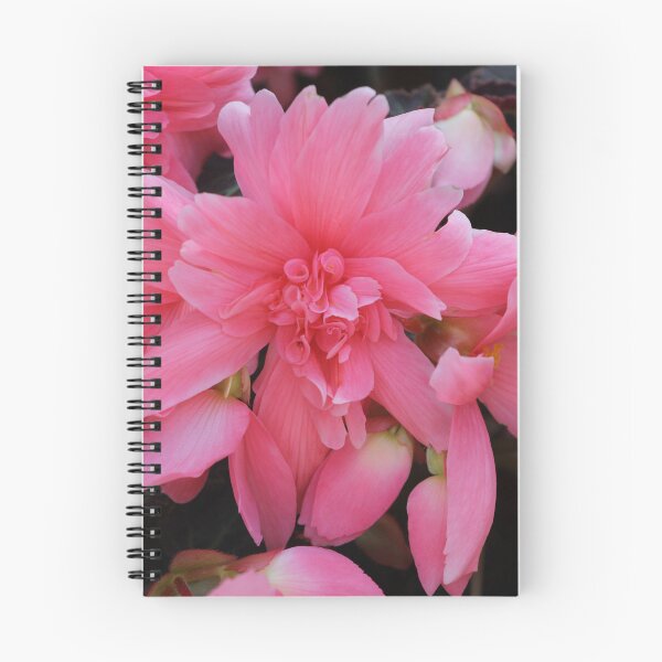 Item preview, flores rosas de dos tonos designed and sold by vernonite.