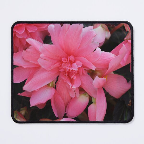 Item preview, 2-tone pink flowers designed and sold by vernonite.
