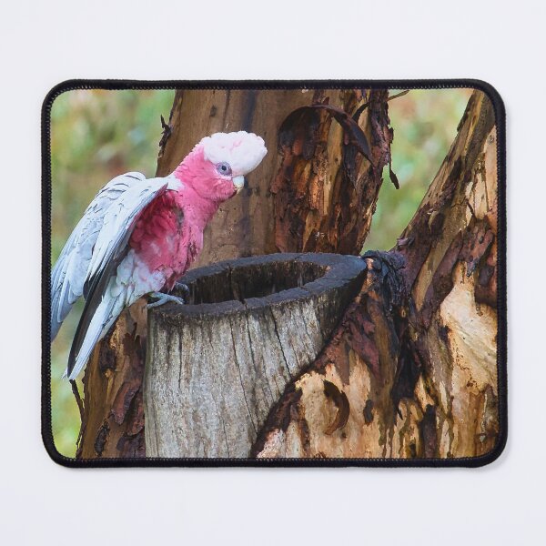 Item preview, The Pink Visitor designed and sold by wendyhattonphotography.