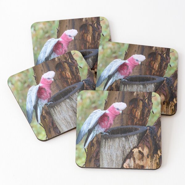 Item preview, The Pink Visitor designed and sold by wendyhattonphotography.