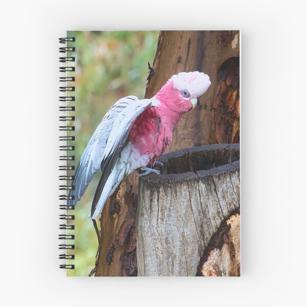 Item preview, The Pink Visitor designed and sold by wendyhattonphotography.