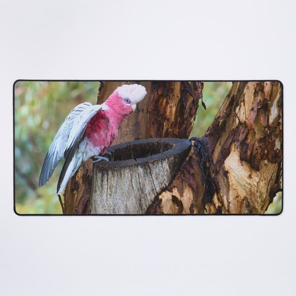 Item preview, The Pink Visitor designed and sold by wendyhattonphotography.