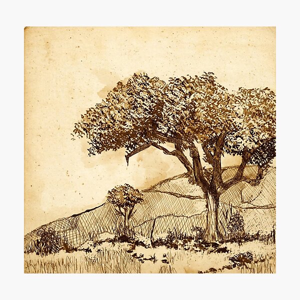 Item preview, Vintage Oak Study designed and sold by Cobalt & Stone Art.