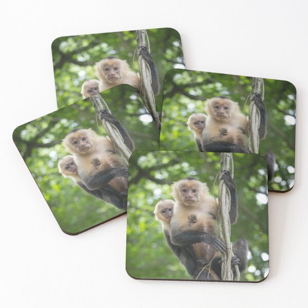 Item preview, Capuchin Mother and Baby Monkey on Jungle Vines – Costa Rica designed and sold by WildFrameNature.