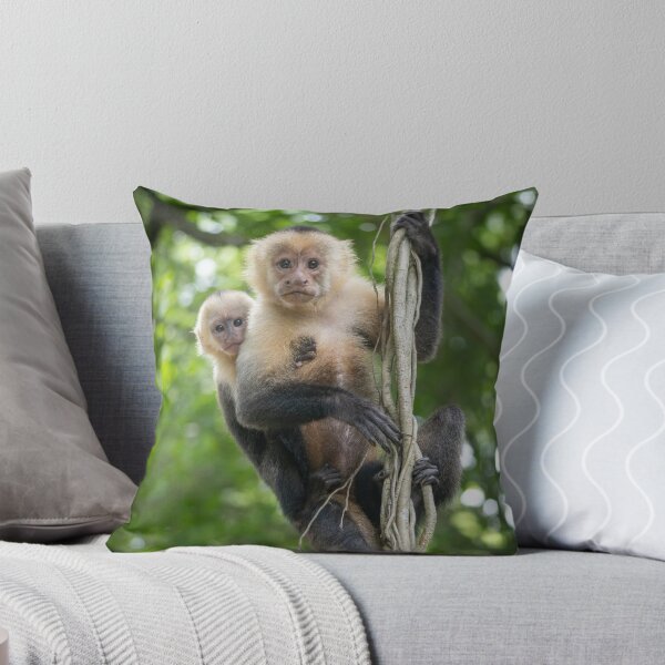Item preview, Capuchin Mother and Baby Monkey on Jungle Vines – Costa Rica designed and sold by WildFrameNature.
