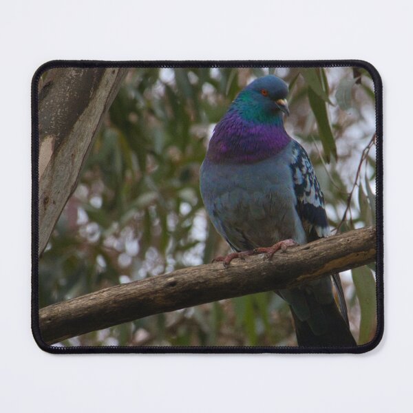 Item preview, A Touch of Iridescence designed and sold by wendyhattonphotography.