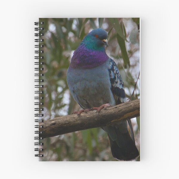 Item preview, A Touch of Iridescence designed and sold by wendyhattonphotography.